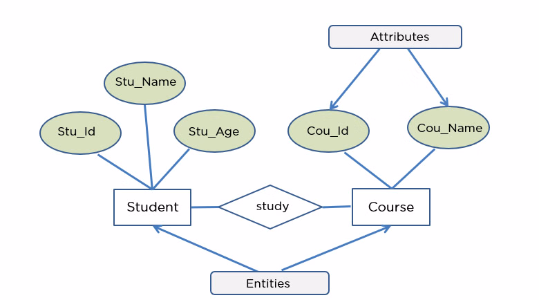 ER Diagram Example